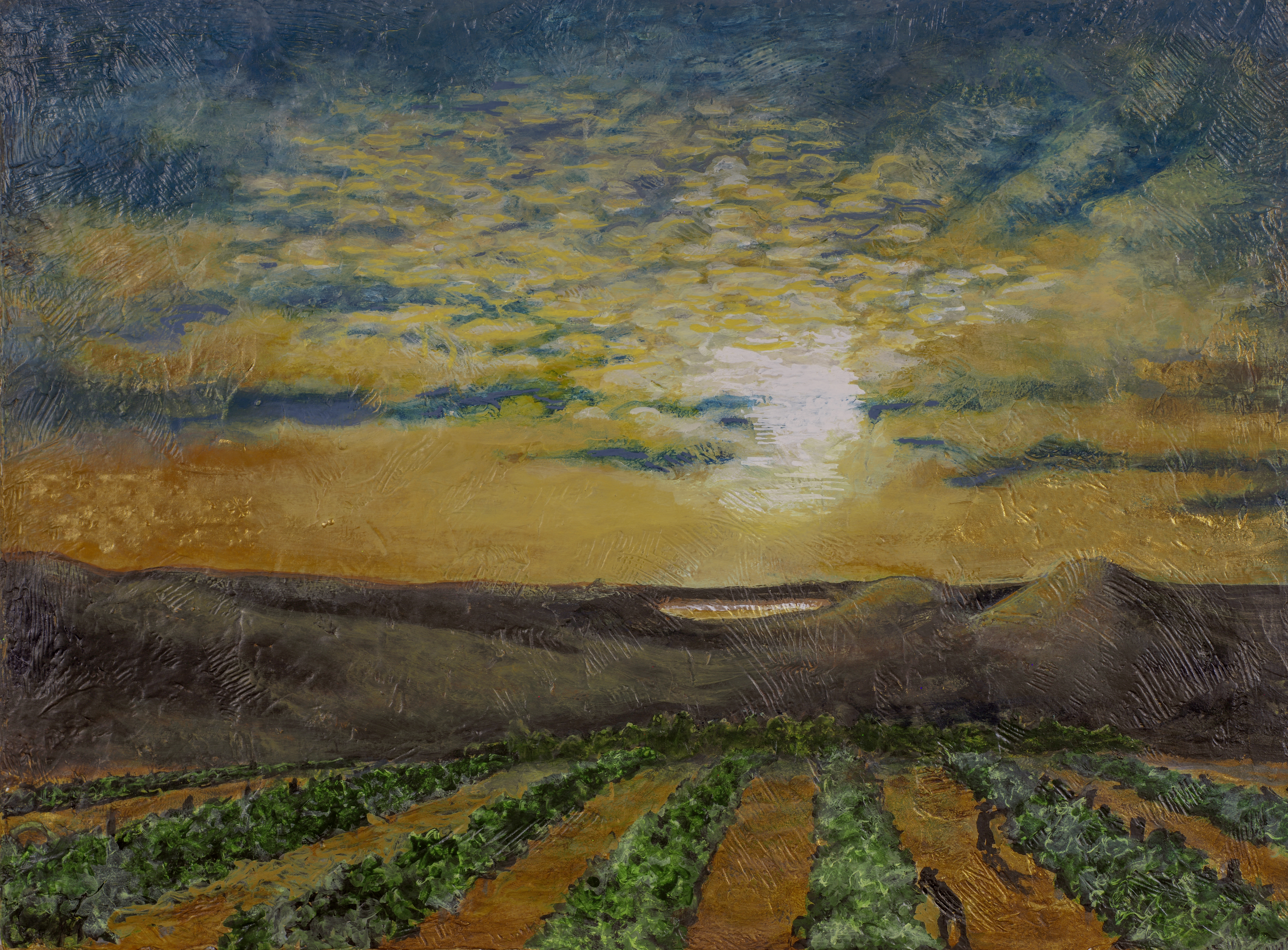 Vineyard Sunset by Diana Wunderle